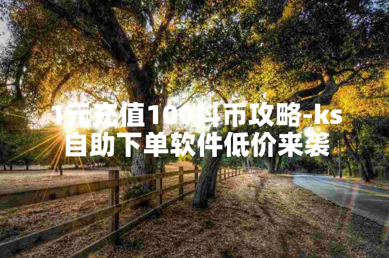 1元充值100抖币攻略-ks自助下单软件低价来袭