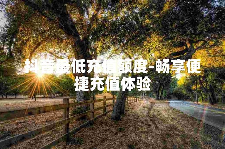抖音最低充值额度-畅享便捷充值体验