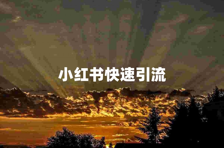 小红书快速引流5000粉的秘籍，高效吸引5000小红书粉丝的实用技巧！2025必备mj免费业务平台下载-Mj自助平台独家攻略