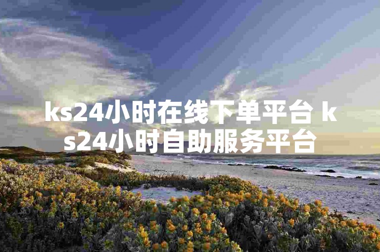 ks24小时在线下单平台 ks24小时自助服务平台