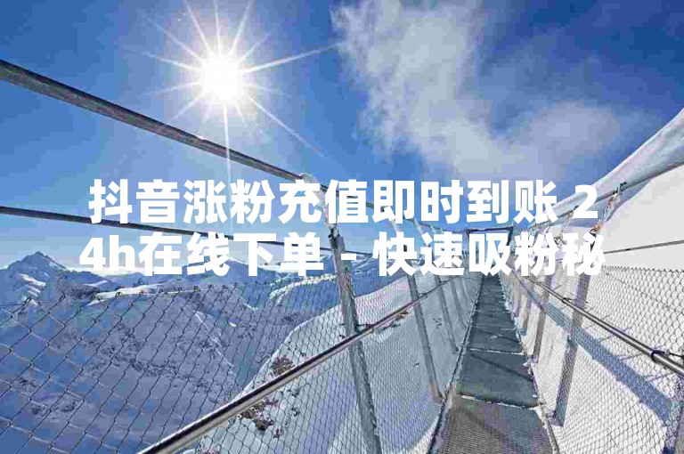 抖音涨粉充值即时到账 24h在线下单 - 快速吸粉秘籍