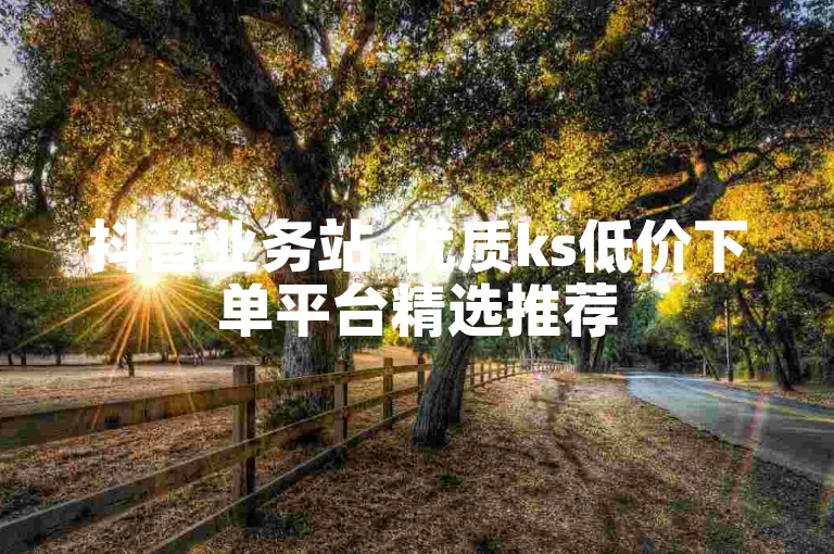 抖音业务站-优质ks低价下单平台精选推荐
