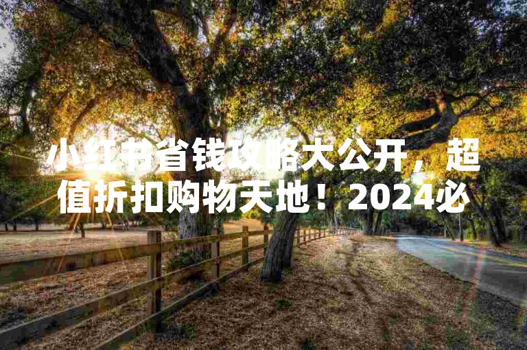小红书省钱攻略大公开，超值折扣购物天地！2024必备涨粉秘籍-低价好物卡网助力流量腾飞