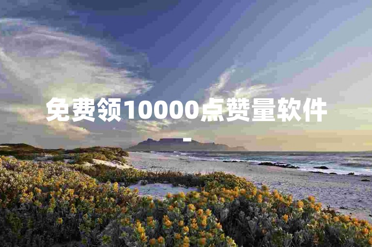 免费领10000点赞量软件-