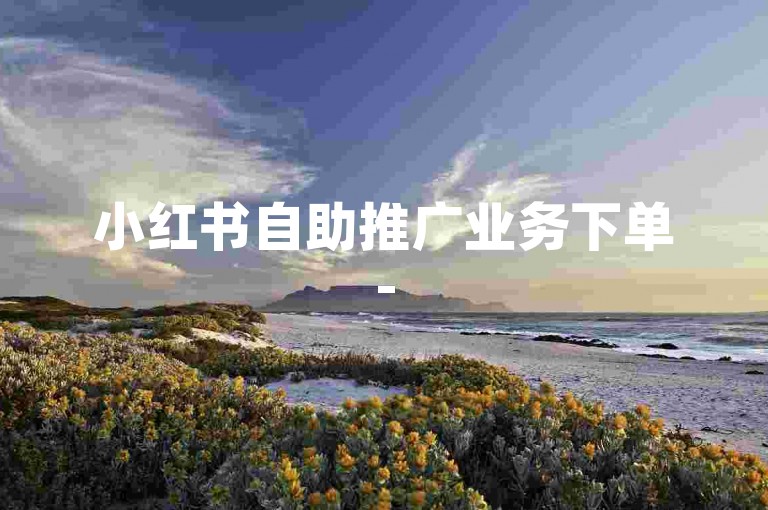 小红书自助推广业务下单-