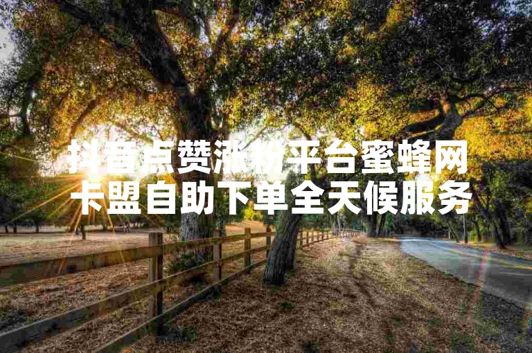 抖音点赞涨粉平台蜜蜂网 卡盟自助下单全天候服务-