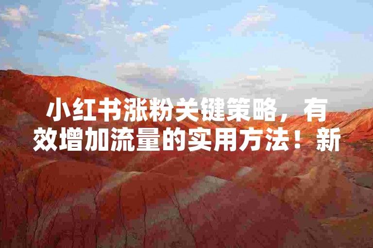 小红书涨粉关键策略，有效增加流量的实用方法！新手必看！