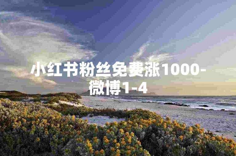 小红书粉丝免费涨1000-微博1-45级升级花费明细，投入资金曝光