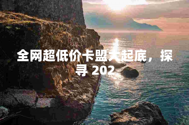 全网超低价卡盟大起底，探寻 2025 最具性价比卡盟之所在！