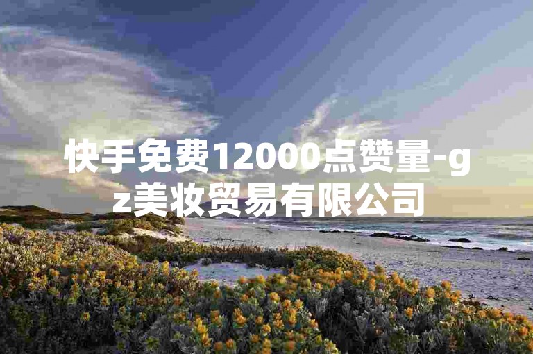 快手免费12000点赞量-gz美妆贸易有限公司