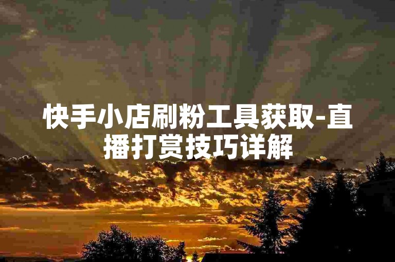快手小店刷粉工具获取-直播打赏技巧详解