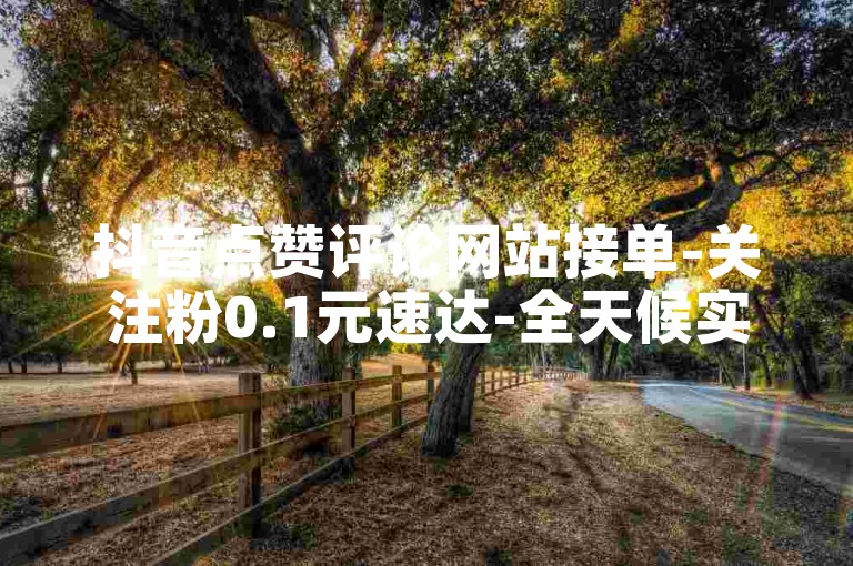 抖音点赞评论网站接单-关注粉0.1元速达-全天候实惠自助下单服务亮点