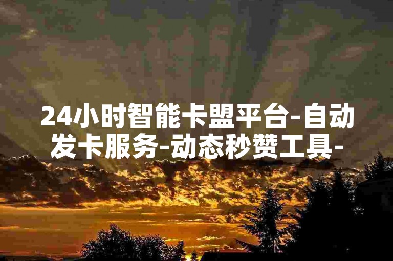 24小时智能卡盟平台-自动发卡服务-动态秒赞工具-视频号业务下单真人