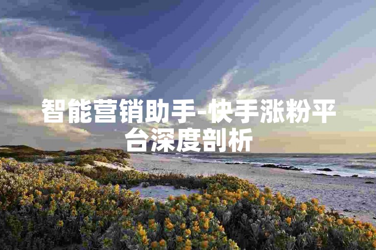 智能营销助手-快手涨粉平台深度剖析