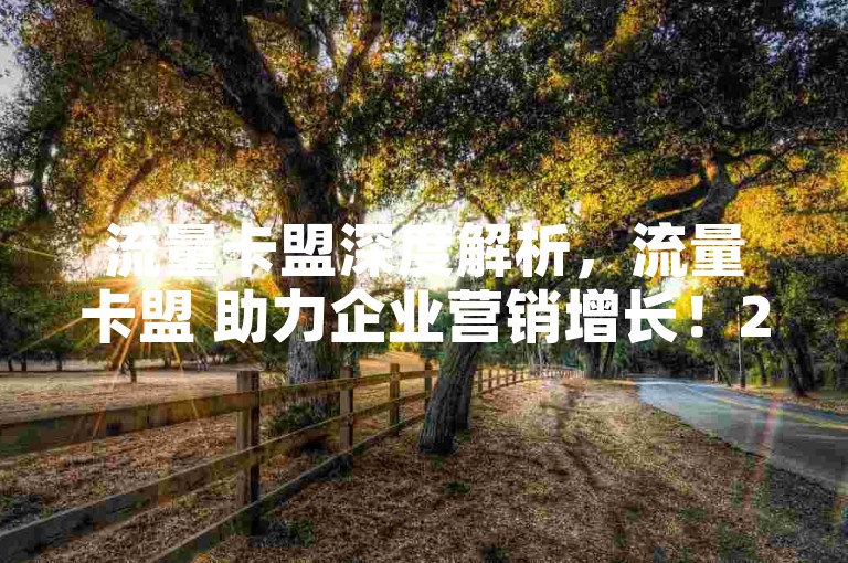 流量卡盟深度解析，流量卡盟 助力企业营销增长！2024必备技巧
