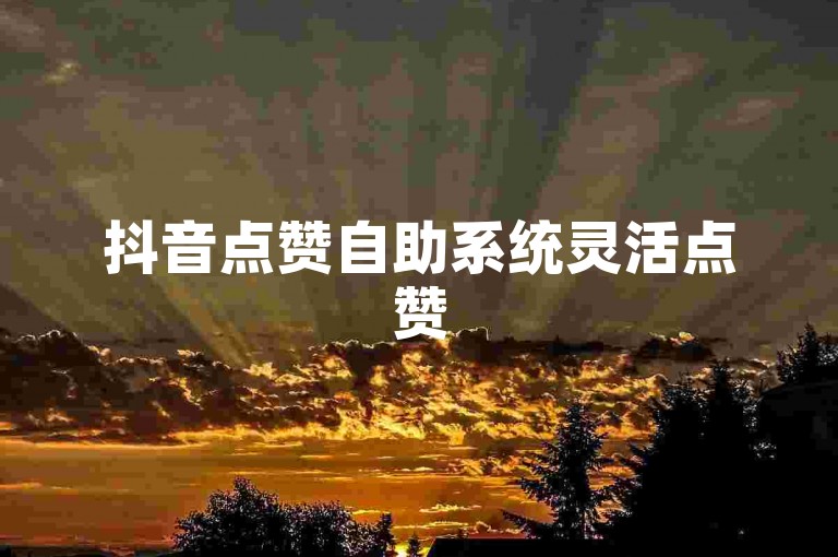 抖音点赞自助系统灵活点赞
