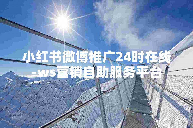 小红书微博推广24时在线-ws营销自助服务平台