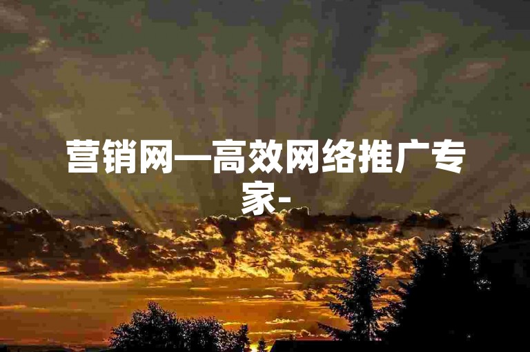 营销网—高效网络推广专家-