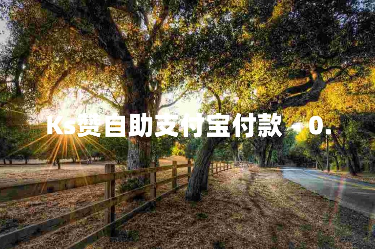 Ks赞自助支付宝付款 - 0.5元速赞两万