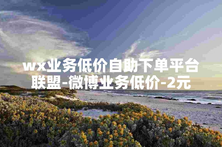 wx业务低价自助下单平台联盟-微博业务低价-2元5000粉丝小红书-18小时速单业务联盟