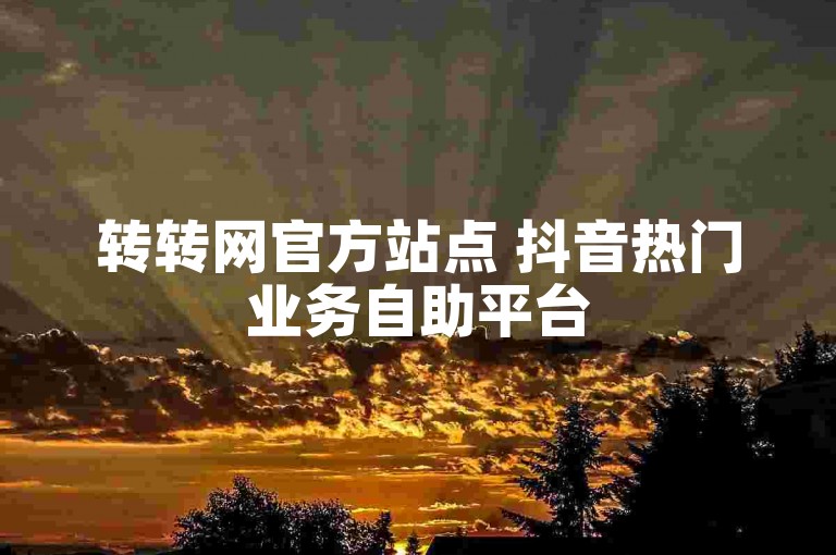 转转网官方站点 抖音热门业务自助平台