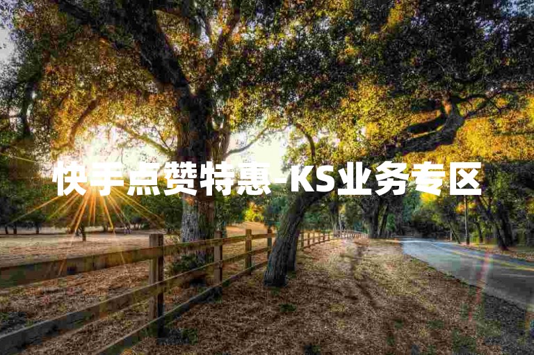 快手点赞特惠-KS业务专区