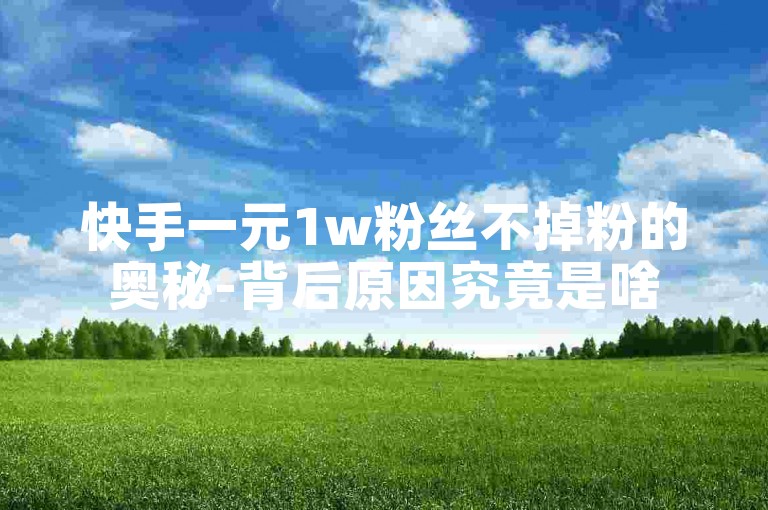 快手一元1w粉丝不掉粉的奥秘-背后原因究竟是啥