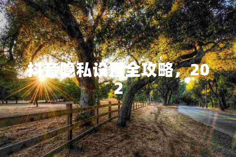 抖音隐私设置全攻略，2025年如何精准掌控抖音隐私权限！