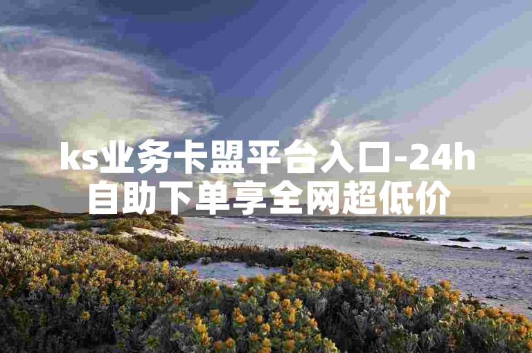 ks业务卡盟平台入口-24h自助下单享全网超低价