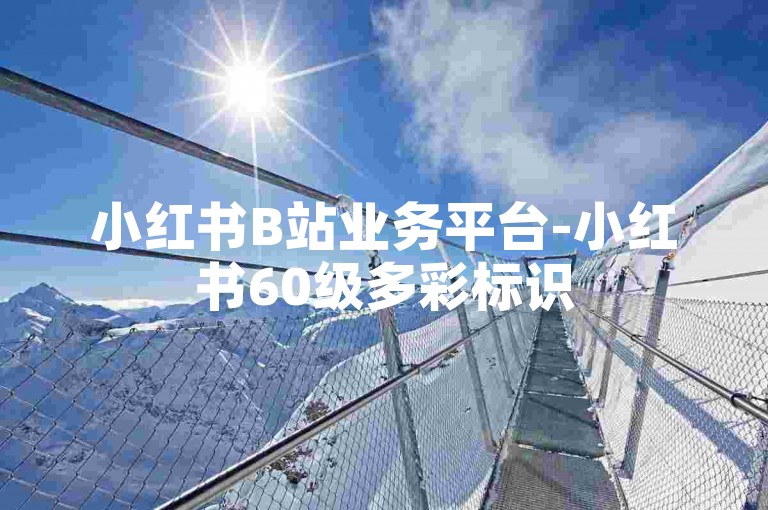 小红书B站业务平台-小红书60级多彩标识