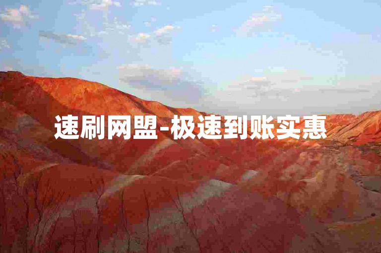 速刷网盟-极速到账实惠