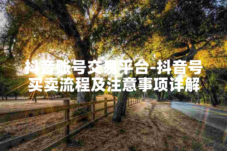 抖音账号交易平台-抖音号买卖流程及注意事项详解