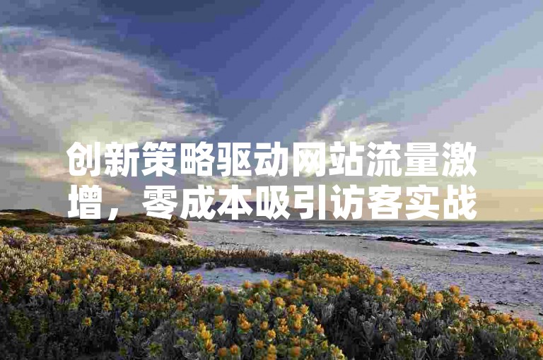 创新策略驱动网站流量激增，零成本吸引访客实战指南