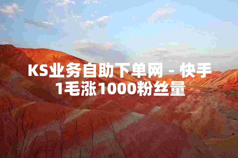 KS业务自助下单网 - 快手1毛涨1000粉丝量