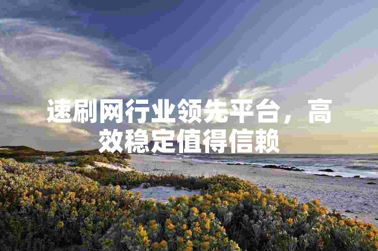 速刷网行业领先平台，高效稳定值得信赖
