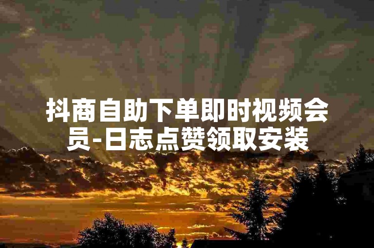 抖商自助下单即时视频会员-日志点赞领取安装