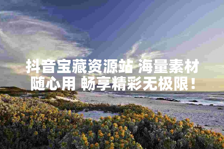 抖音宝藏资源站 海量素材随心用 畅享精彩无极限！