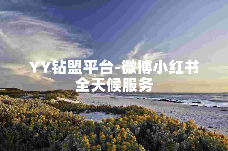 YY钻盟平台-微博小红书全天候服务