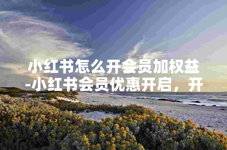 小红书怎么开会员加权益-小红书会员优惠开启，开通便捷无忧-微博粉丝1元50个增粉-微博服务超低价