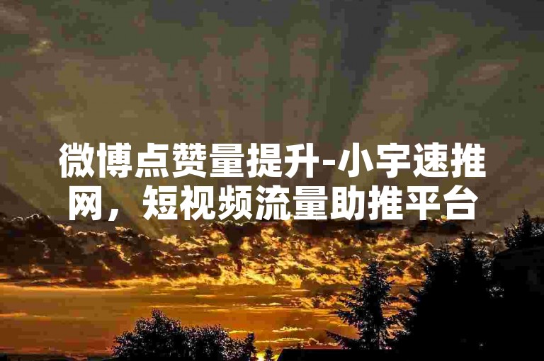 微博点赞量提升-小宇速推网，短视频流量助推平台