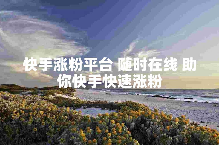 快手涨粉平台 随时在线 助你快手快速涨粉