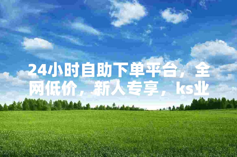 24小时自助下单平台，全网低价，新人专享，ks业务秒到账！