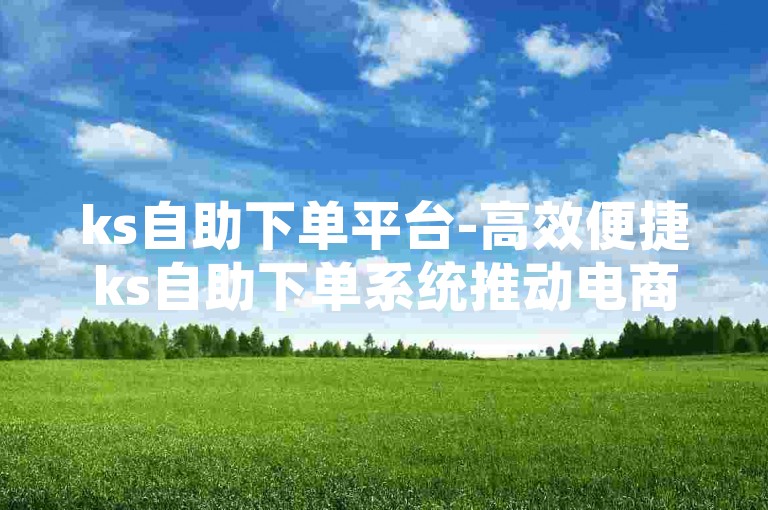 ks自助下单平台-高效便捷ks自助下单系统推动电商业绩增长