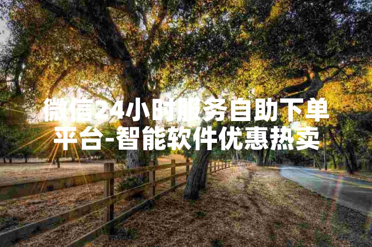 微信24小时服务自助下单平台-智能软件优惠热卖