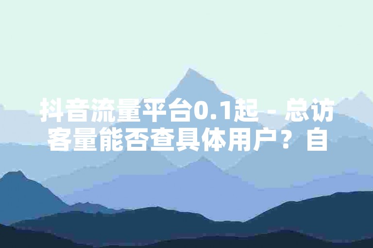 抖音流量平台0.1起 - 总访客量能否查具体用户？自助下单安全吗？自己访问算入量否？