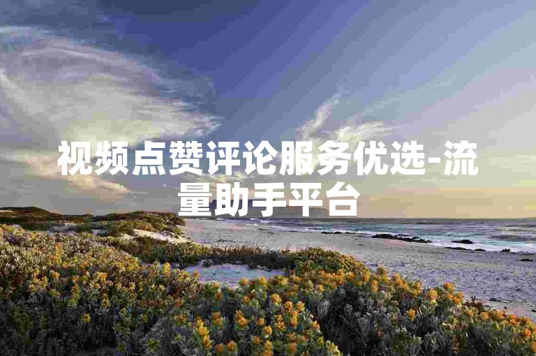 视频点赞评论服务优选-流量助手平台