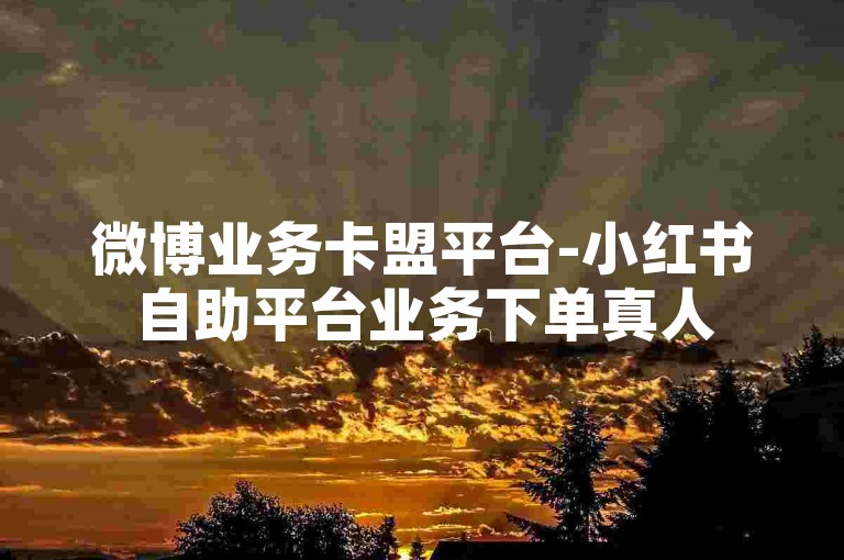 微博业务卡盟平台-小红书自助平台业务下单真人