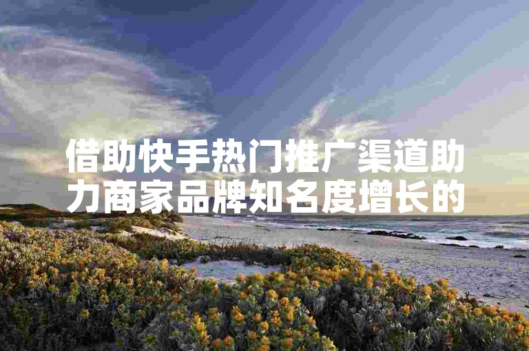 借助快手热门推广渠道助力商家品牌知名度增长的策略与要点