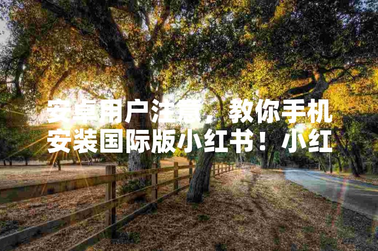 安卓用户注意，教你手机安装国际版小红书！小红书评论自助下单20条评