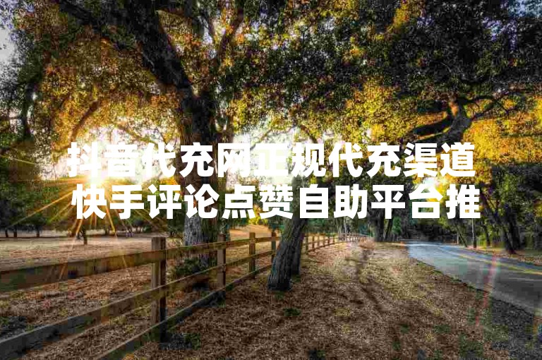 抖音代充网正规代充渠道 快手评论点赞自助平台推荐